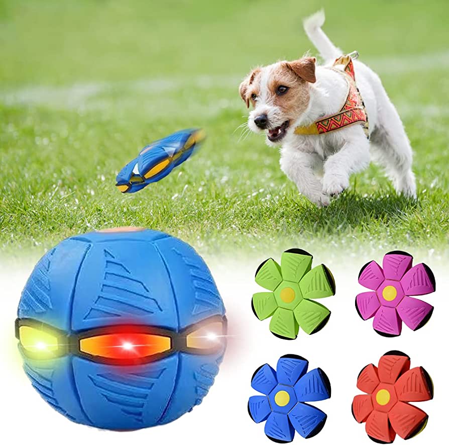 Maxiboy™ Dog Frisbee