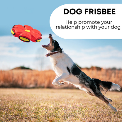 Maxiboy™ Dog Frisbee