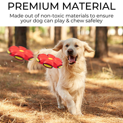 Maxiboy™ Dog Frisbee